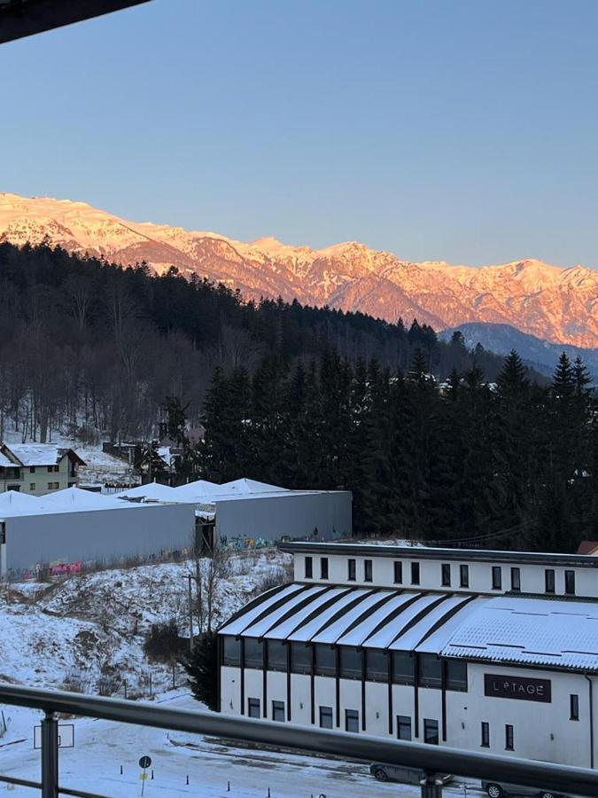 Coca Apart Mountain View Sinaia Exterior foto