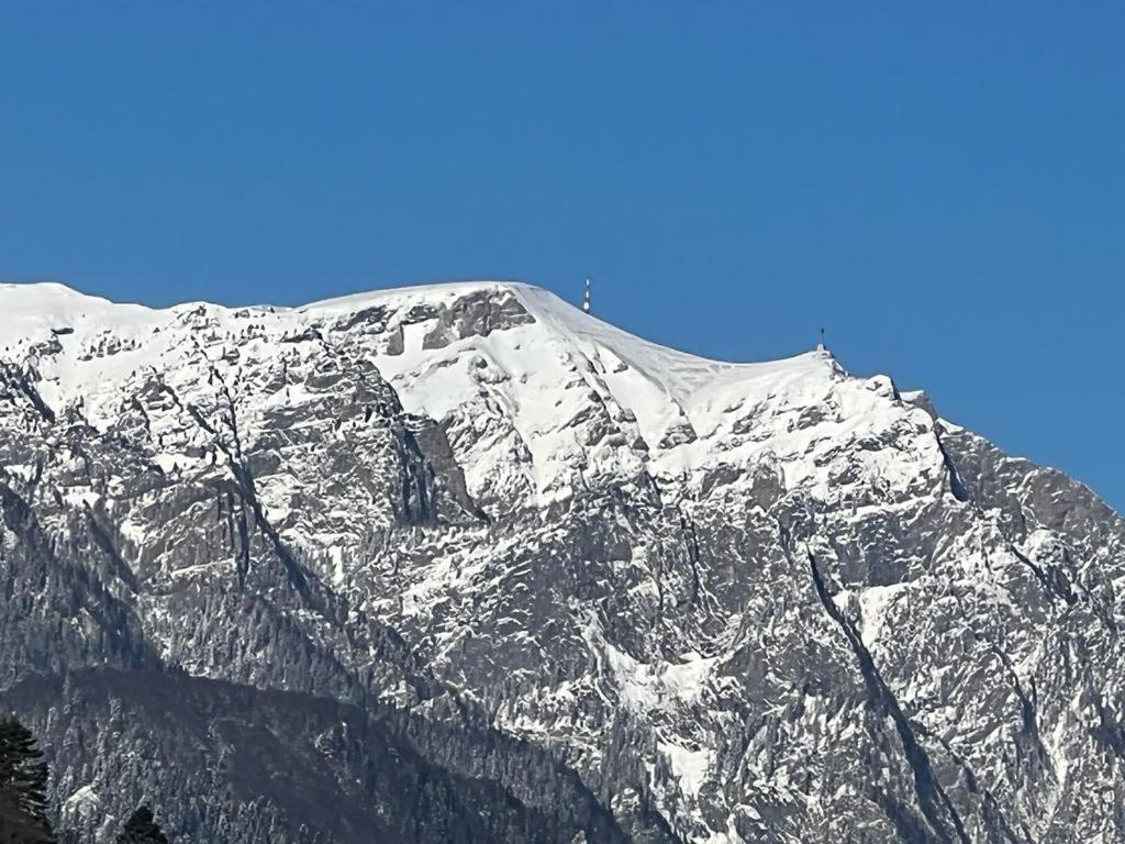 Coca Apart Mountain View Sinaia Exterior foto