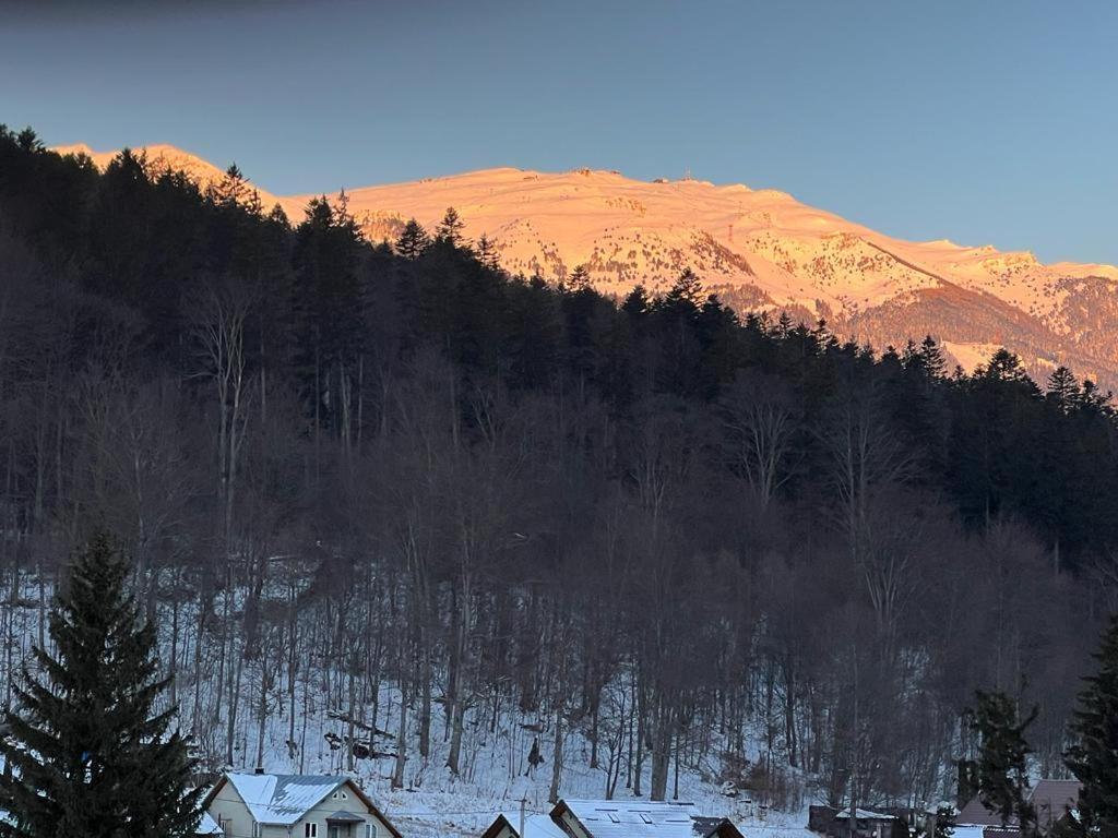 Coca Apart Mountain View Sinaia Exterior foto